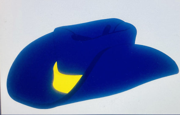 RiverDogs Howdy Hat