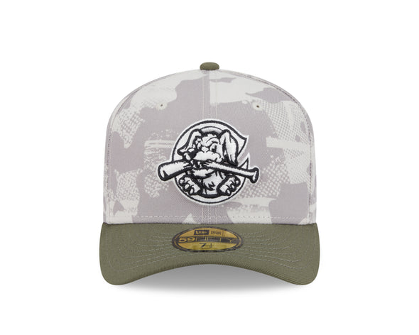 Charleston RiverDogs Armed Forces Day 39THIRTY Flex'Fit Cap