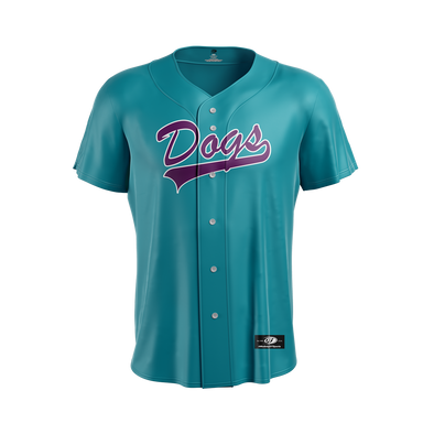 Charleston RiverDogs Teal Throwback Jersey