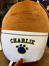 Charleston RiverDogs Charlie T. RiverDog Squishy Pillow Plush