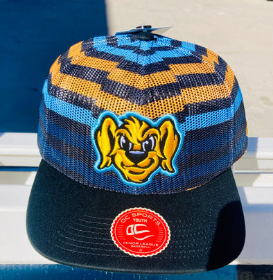 Charleston RiverDogs Youth All Mesh Crown  BP Cap