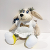 Charleston RiverDogs Plushie Animal Care Package