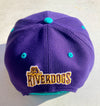 Charleston RiverDogs New Era 9FIFTY Shea Teal N Purple Snapback