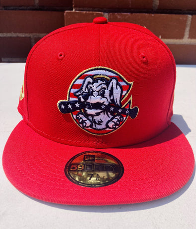 Charleston RiverDogs 2023 July 4th New Era fitted