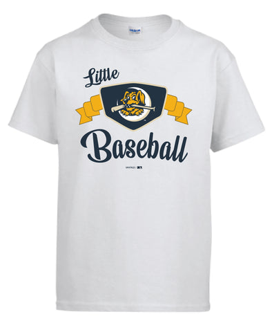 Charleston RiverDogs celebrate Latin fanbase with jersey unveiling
