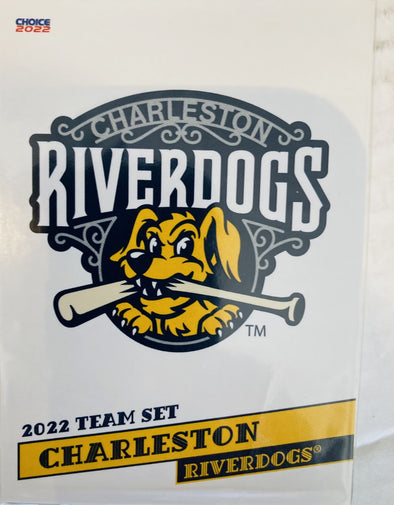 MiLB Charleston Riverdogs Button Front Baseball Jersey Youth Large Sewn  Logos